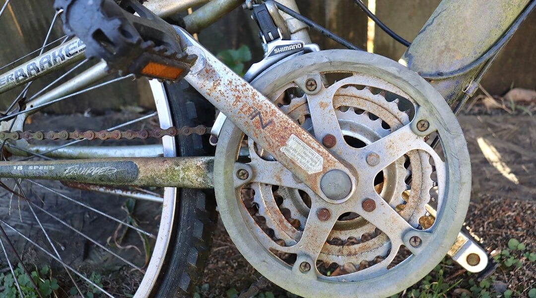 bicycle pedal disassembled bearings axle workbench maintenance